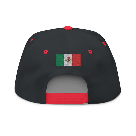 Texas/Mexico SnapBack Hat